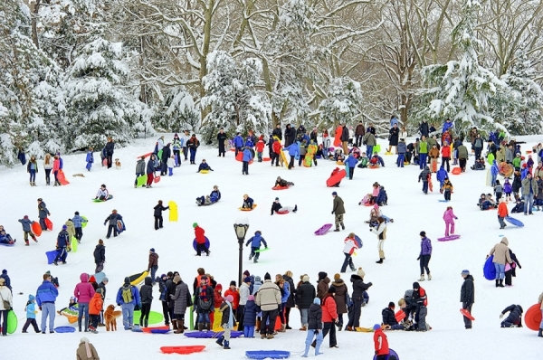 Photograph Mitchell Funk Central Park Snow on One Eyeland